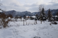 20190112_102540