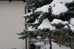 20190112_102713