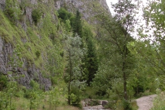 DSCF0018